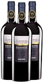 3 Bottiglie Edizione 23 Cinque Autoctoni Rosso 2021 Fantini, Vino Rosso Italiano, Montepulciano e Primitivo, 14,5% Vol, 750 ml