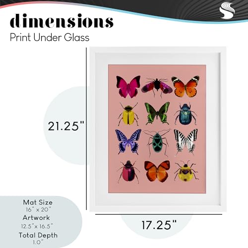 Cadre d'insectes colorés LISH Creative 53x43 cm Stupell