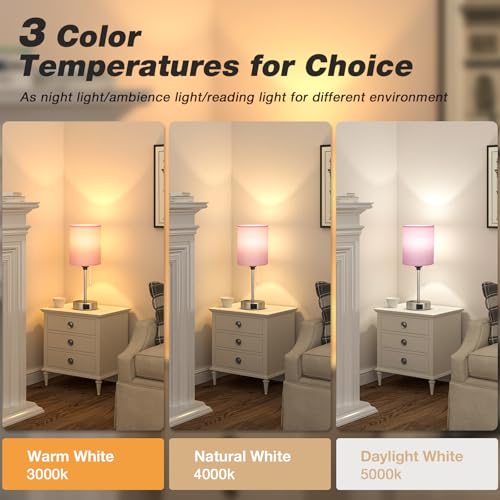 Image of Small Bedside Table Lamp for Bedroom - Desk Lamp with USB Ports for Dorm