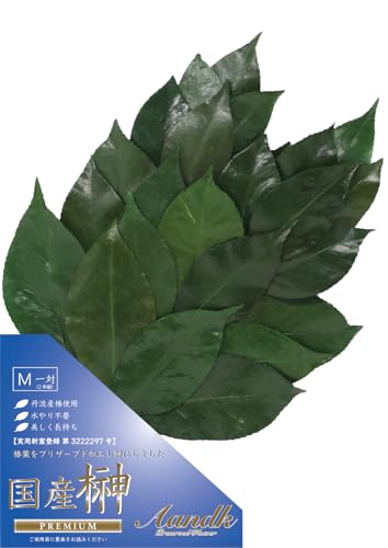 A&K  vU[uht[ ԂȂ̂Ɍ͂Ȃ (MTCY/) sv { OgY _I  _ Y uU[h