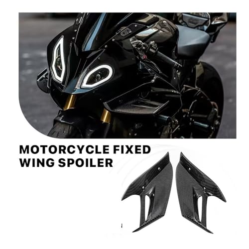 Aileron avant fixe carbone pour S1000 RR 2015 2016 2017 2018