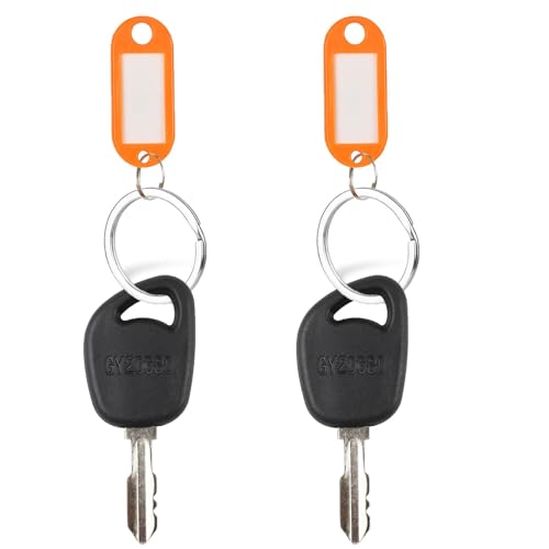 Lawn Mower Ignition Keys - Front View