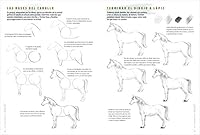 Los cuadernos del dibujante. Caballos y ponis: 50 modelos para empezar 8498746450 Book Cover