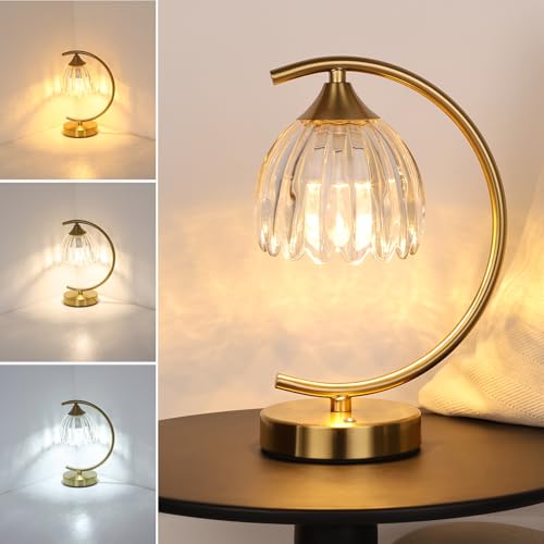 Image of Shenmoyl Tulip Table Lamp, 5200mAh Cordless Touch Control Table Lamp with 3 Color Temps & Stepless Dimming, Rechargeable Battery Table Lamp for Living Room, Bedroom, Office, Shelf (Transparent Tulip)