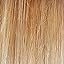 GL14-22SS Shaded Sandy Blonde