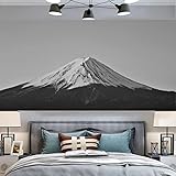 SGNYXH タペストリー 富士山 桜 河口湖 富士五湖 春 湖 逆さ富士 ファブリック 青い空 絶景 インテリア おしゃれ 和風 和モダン 300*150cm 和室 大きい 大判 現像的 ご来光 初日の出 デザイン5 自然風景 布 目隠し 背景 グッズ 部屋 飾り 雰囲気転換 洗濯可能