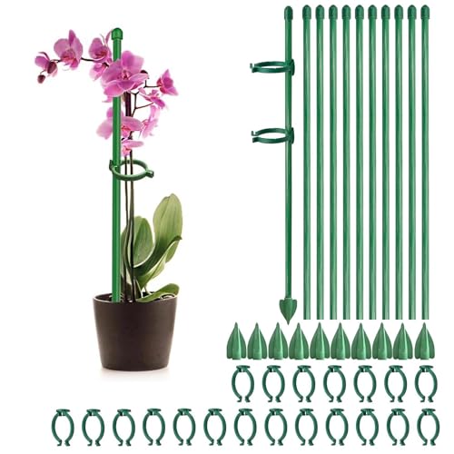 PHMING 10 Pièces Tuteur Tomate Réglable, Tuteur Plante en Fibre de Verre, Piquet Tomate 30cm, Livré avec 20 Clips et 10 Piquets de Terre, pour Supports de Fleurs et de Plantes