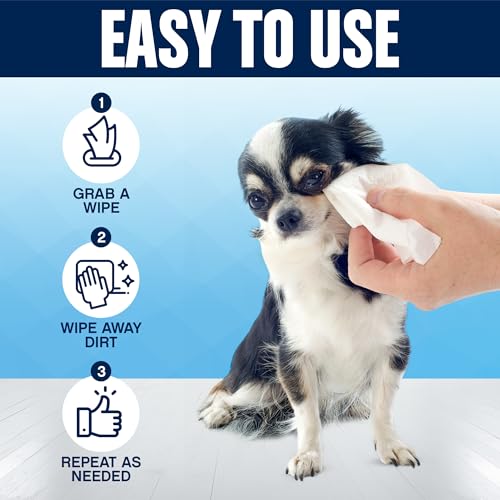 Dog Grooming Wipes – 75 Fragrance-Free Cleaning Wipes for Dogs & Puppies – Advanced Odor Neutralization for Paws, Body & Butt – Safe & Gentle for Pets, Alcohol-Free Pet Care Dog Grooming Wipes – 75 Fragrance-Free Cleaning Wipes for Dogs & Puppies – Advanced Odor Neutralization for Paws, Body & Butt – Safe & Gentle for Pets, Alcohol-Free Pet Care
