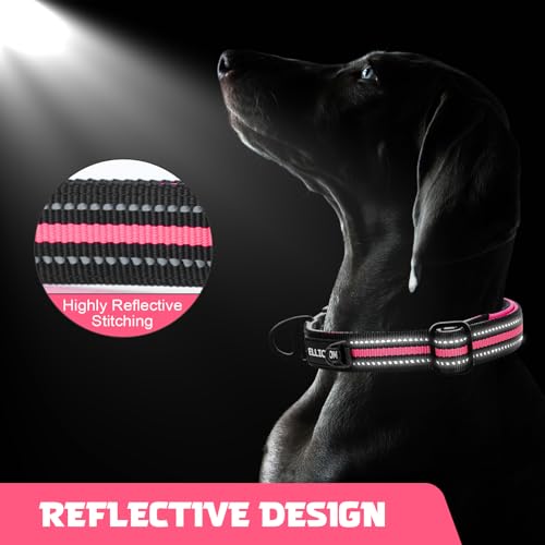 Collar Reflectante para Perro Azul Talla L miniatura 5