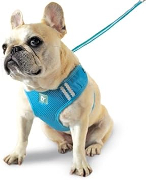 dogo harness