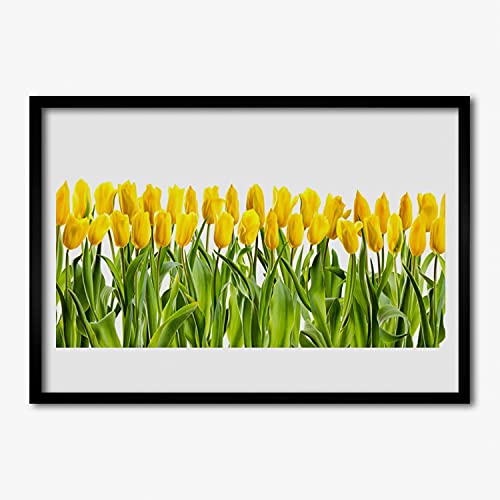 Cadre murale affiche tulipes fleurs pour habiller un grand mur vide