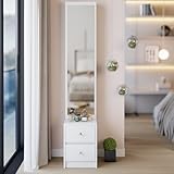 VFJ Simple and Stylish Dressing Mirror Cabinet, Full Body Mirror Cabinet, 63 inches, Super Large Multi Layer Large Capacity Storage, can be Used Alone or in Combination with a Dressing Table