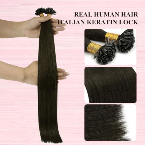 Image of YoungSee U Tip Hair Extensions Human Hair Ash Brown Utip Hair Extensions Human Hair Cool Brown Keratin Hair Extension 18 Inch Fusion Remy Hair 50g 50 Strands for Wedding