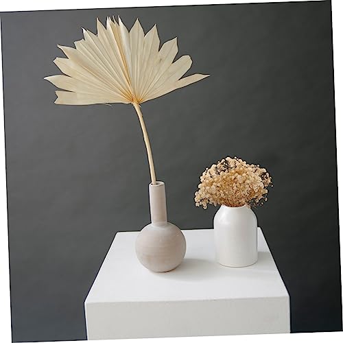 Ramos de flores secas para decoración natural miniatura 2