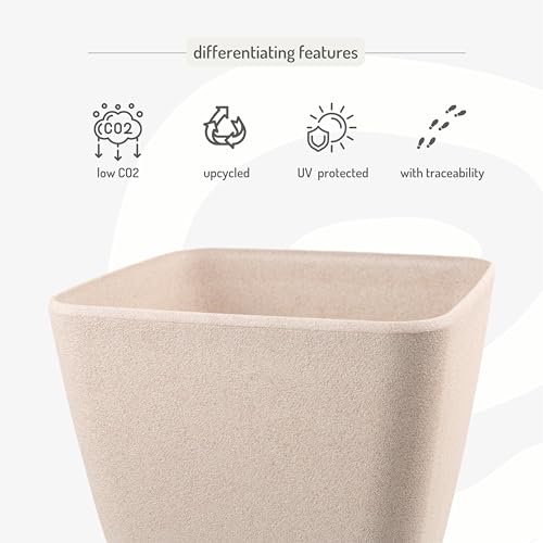 Product Variant View