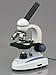 AmScope M158 Cordless Compound Monocular Microscope, WF10x Eyepiece, 40x-400x Magnification, LED Illumination with Rheostat, Brightfield, Single-Lens Condenser, Coaxial Coarse and Fine Focus, Plain Stage, 110V or Battery-Powered