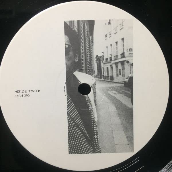 Amazon.co.jp: 美盤 LP佐野元春 -月と専制君主99BLUESアナログ