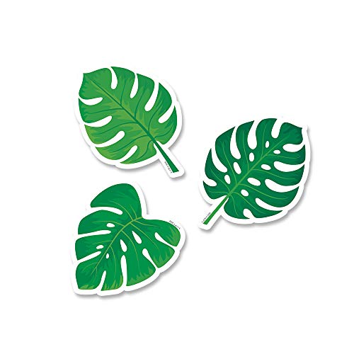 Palm Paradise Monstera Leaves