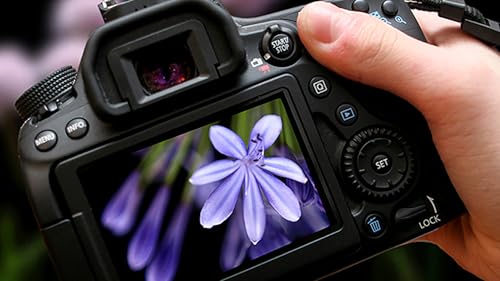 mydays Geschenkgutschein: Fotokurs München (Einzelcoaching) mydays Geschenkgutschein: Fotokurs München (Einzelcoaching)