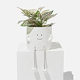 Sitting Smiling People Plant Pot - Indoor Rope Legs Planter for Succulents | 4 Inch Planter (White)