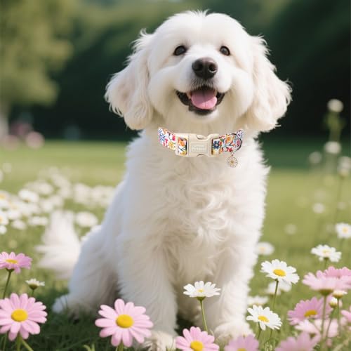 Unique style paws Hundehalsband mit Schnellverschluss aus Baumwolle, buntes Blumenmuster, langlebiges Geschenk, niedlich, für kleine, mittelgroße und große Hunde und Hündinnen