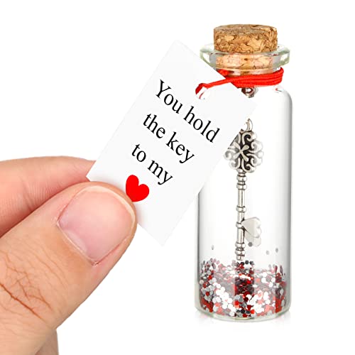 Anniversary Gift for Her You Hold The Key to My Heart Romantic Bottle, Tiny Glass Love Wish Jar Romantic Message in a Bottle, Romantic Gifts for Anniversary (Classic Style)