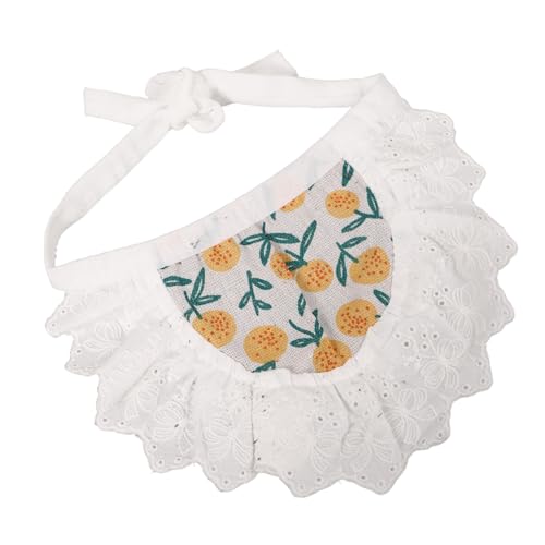 INOOMP ybg̎ hJ pz Y obN hJ ŕꂽ ̂悾ꂩ Lbg 悾ꂩ qp̌̎ ɐB qpXJ[t Orange |GXe