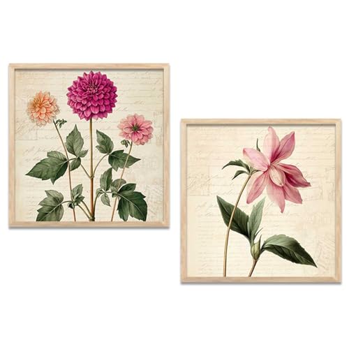 Kotart Botanical Wall Art Painting | Premium Art Framed Wall Painting For Home Décor | Poster With Frame Wall Decoration Painting | Frames For Home Décor Office Living Room | Set of 2 ( 13X13 inch ), Framed)