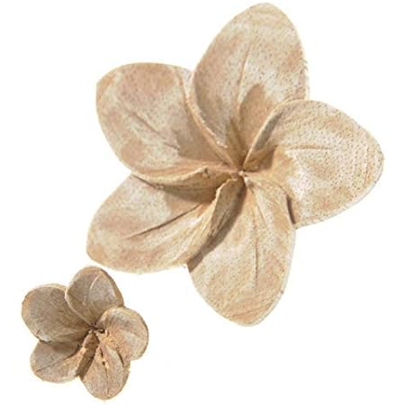 Amazon 森の紙 木 ウッド フラワー L 2個セット プルメリア 直径6 5cm バリ雑貨 アロマ 置物 オブジェ オンライン通販