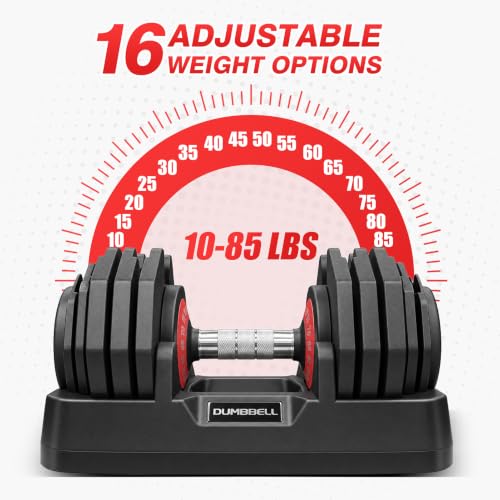 Image of Adjustable Dumbbells Set of 2 for Home Gym Fitness Free Weights Set
