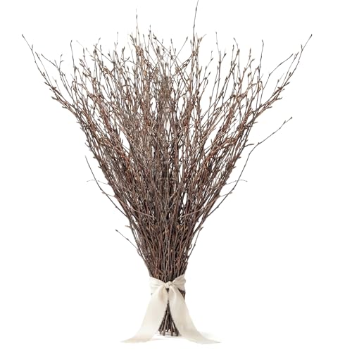 40PCS Natural Birch Twigs 13.8 Inch Dried Birch Branches for Decoration Vases Decorative Twigs and Branches for Vase Natural Plant Branch Decor for Wedding Arrangements Home Decor Wreath Crafts