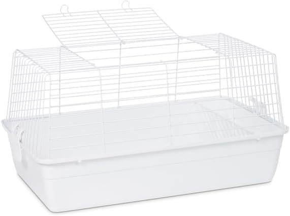 Elegant Escape Small Round Bird Cage with Graceful Design, Durable Metal Construction, Compact Size, and Comfortable Space Red