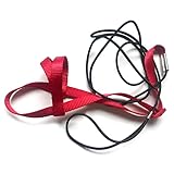 Parrot Bird Harness Leash Outdoor Activities Flying Traction Straps Band Flying Rope for Small Parakeets Cockatiels Bird