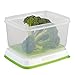 Rubbermaid FreshWorks Produce Saver Food Storage Container, Large, 17.3 Cup, Green