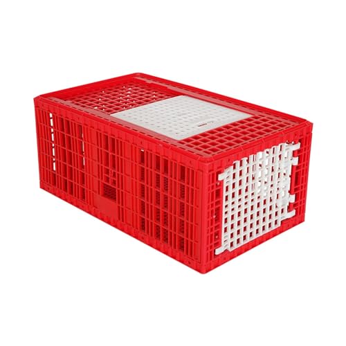 Hatching Time Turkey Transport Coop (Large) Two Door | Heavy Duty Plastic Poultry Carrier for Turkeys and Other Large Birds | Stackable, Easy-Clean, Durable Farm Transport Crate
