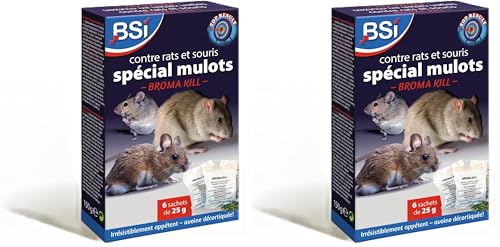 BSI - Anti Rats - Souris Et Mulots - 150g - Grains - Efficacité Radicale - Avoine Attrayante - 6 x 25g - Prêt A l'emploi - Haute Qualité - Autour comme pour La Maison, Violet (Lot de 2)