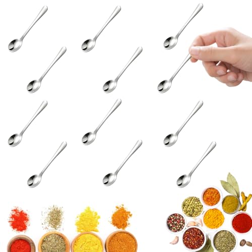 12 Pezzi Cucchiaini per Condimenti da 7,5cm, Acciaio Inox Mini Cucchiaini da Caffè, Graziosi Cucchiaino per Barattoli di Spezie, Cucchiaino in Acciaio Inox Minuscoli, Piccoli Cucchiai in acciaio inox