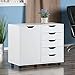Winsome Halifax 5-Drawer and Side Mobile Cabinet, for Living Room, Home Office, White