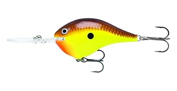 Amazon.co.jp: Rapala(ラパラ) クランクベイト DT ダイブストゥ