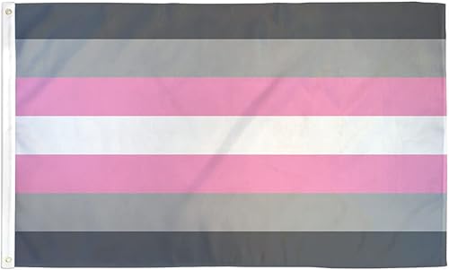 Bandera demisexual de orgullo para niña Demi Girl de 3 x 5 pies, de polietileno, perfecta para mostrar tu orgullo por la comunidad. Poli de 3 x 5