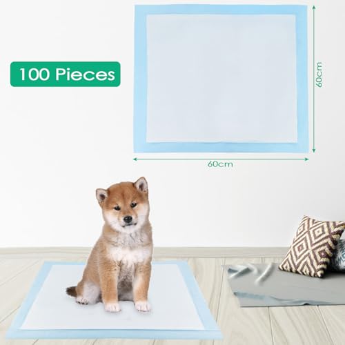 Baxcdyswe 100 Stück Inkontinenzunterlage Einweg, 60 × 60 cm Welpen Unterlagen, Inkontinenz Bettunterlage, Pinkelmatte Training Auslaufsicheres 5-Lagiges Design mit Schnell Trocknender Oberfläche