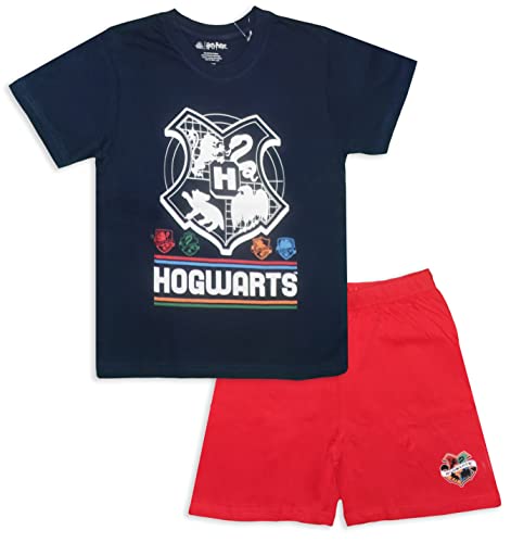 Harry Potter Conjunto de Pijama de algodón para niños (as8, Edad, 13_años, 14_años, Normal, Azul)