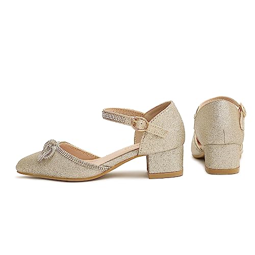 Image of Amoji Girls High Heels Kid Ankle Strap Dress Shoes Wedding Party for Little Kid Big Kid 412