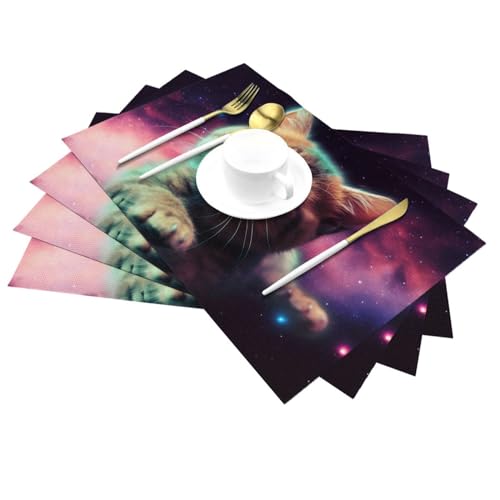 Set de table chat bébé durable lavable en PVC imprimé galaxie x6 - 7