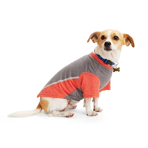 Reddy Grey/Red Cooling Dog Tee, Small