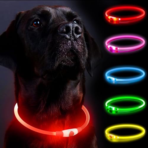 Light Up Dog Collar for The Dark Dog Collar Light with USB Rechargeable, Led Dog Collar