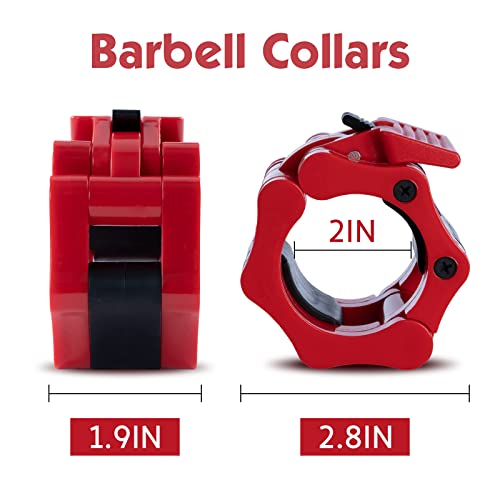 Slim Panda Olympic - Collari da allenamento con