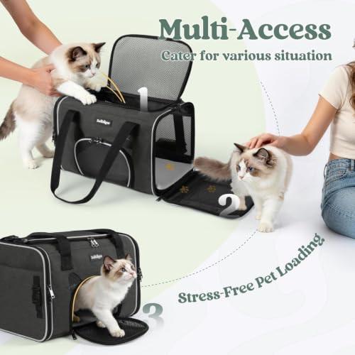 Image of rabbitgoo Cat Carrier Soft Sided, Stable Portable Pet Carrier with Safety Buckles for Car Travel Vet Visit Airline, Comfortable Breathable Kitten Bag for Small Medium Cat, Black, 17x11x11 inch
