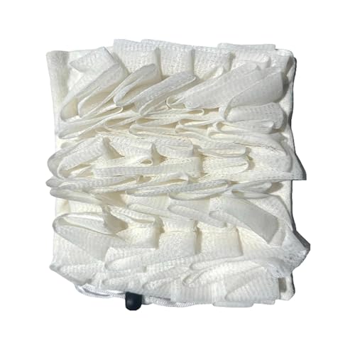 iBaste oXw`}X|WAoXbVv[t{[AjpV[^IXNo[AXNo[N[jOANZT[AAjAVjAAqp