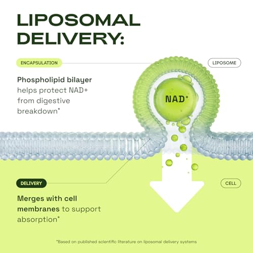 Image of Cata-Kor Liposomal NAD+ Supplement with Resveratrol - Advanced NAD Resveratrol